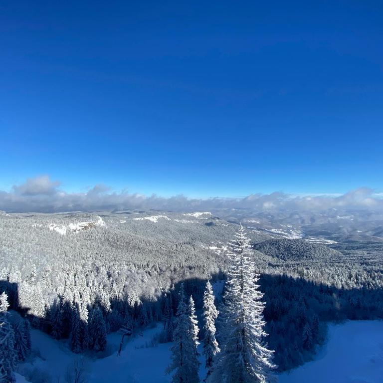 Sky view Jahorina - Suite Apartment - 21