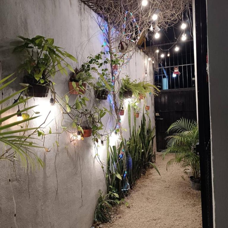 Maracuy Apartments 1 vacation rental Cancun - Apartamento - 22