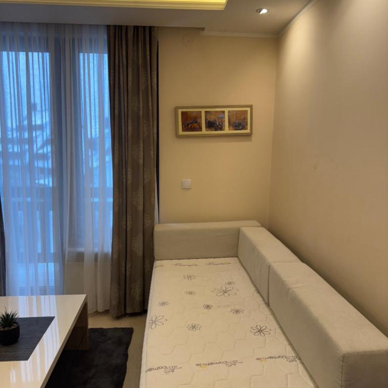 Vila Kopaonik Apartmani Milenkovic - Standardni Trokrevetni Studio - 12