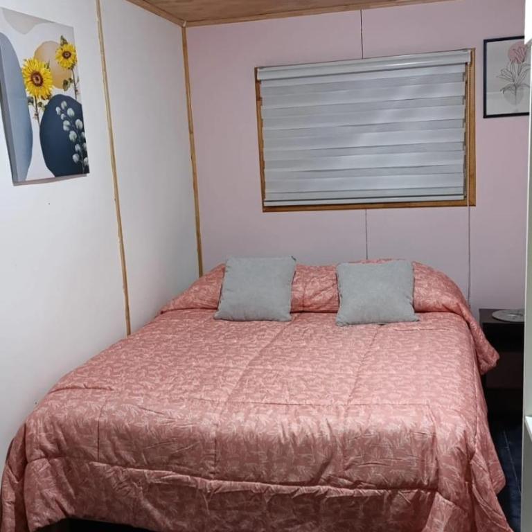 Arriendo habitación en frutillar - Double Room - 1