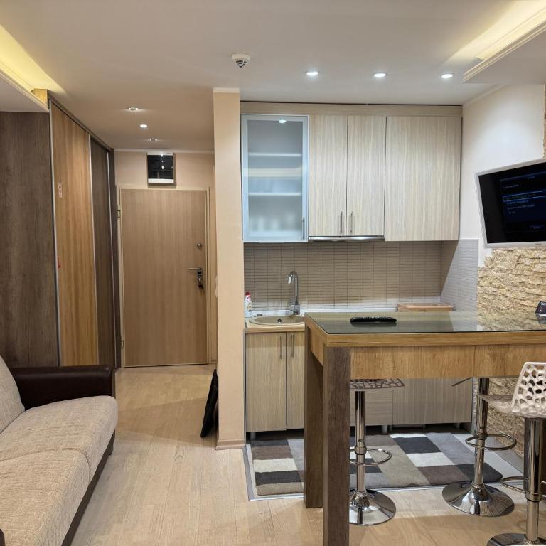 Vila Kopaonik Apartmani Milenkovic - Standardni Trokrevetni Studio - 10