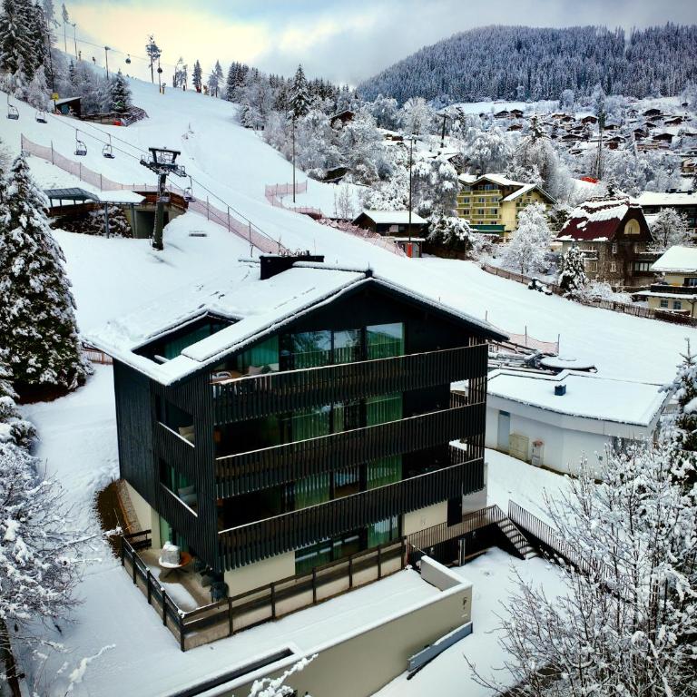 Haus am Lift - TOP3 - Summercard included - Ski-in Ski-out - 6P - Superior Apartment - 64