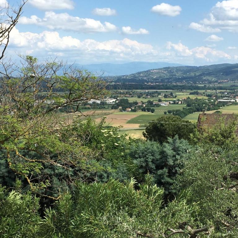 La Grande Quercia - Appartamento con 3 Camere da Letto - 6