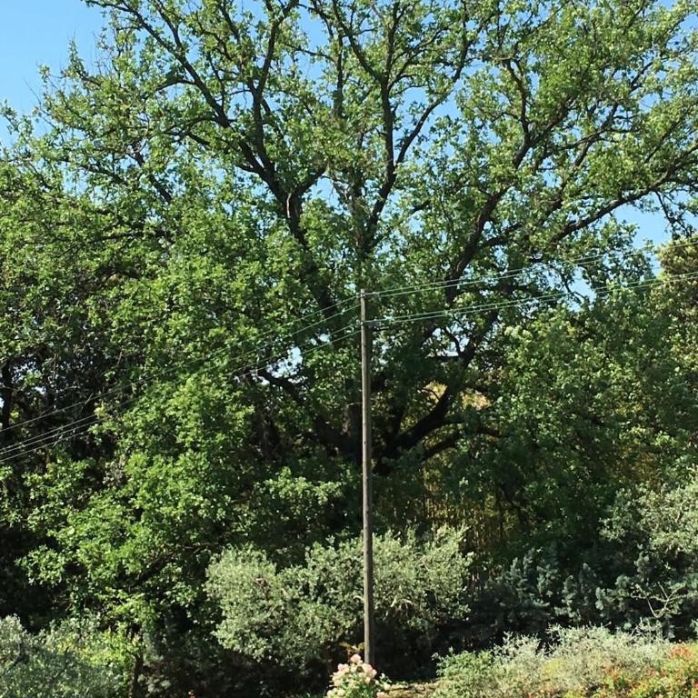 La Grande Quercia - Appartamento con 3 Camere da Letto - 15