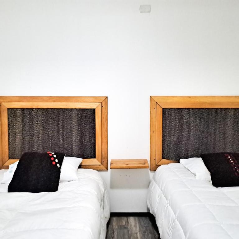 BRUMA Chiloé Departamentos - Two-Bedroom Apartment - 6
