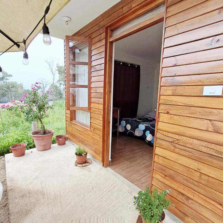 Cabaña BellaVista - Apartment with Mountain View - 5