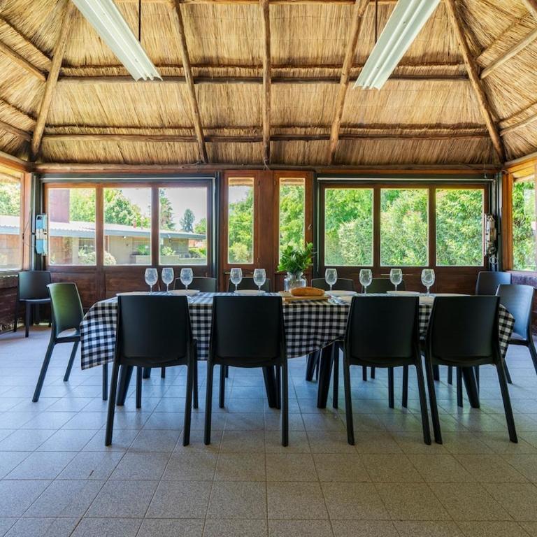 Formidable jardin, ubicación inmejorable, Chacras - Four-Bedroom House - 10
