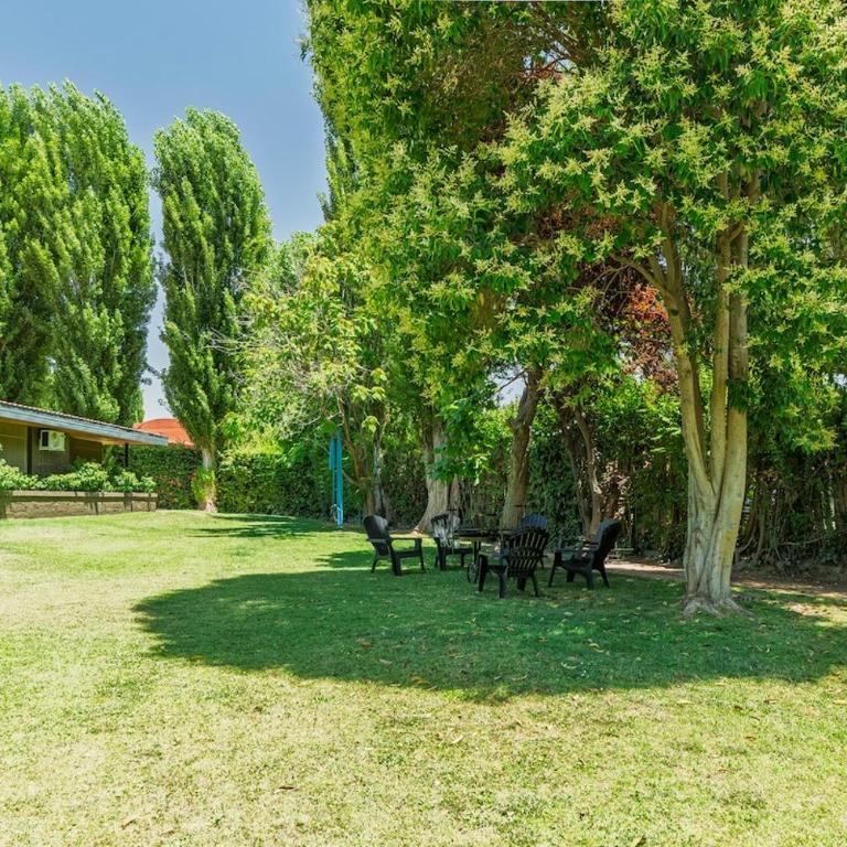 Formidable jardin, ubicación inmejorable, Chacras - Four-Bedroom House - 22