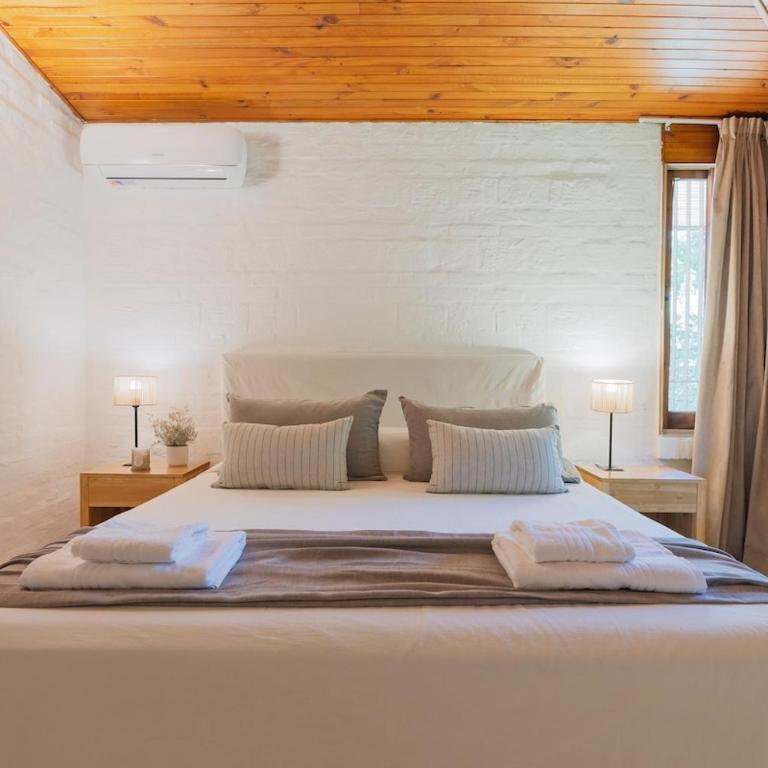 Formidable jardin, ubicación inmejorable, Chacras - Four-Bedroom House - 37