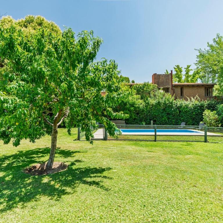 Formidable jardin, ubicación inmejorable, Chacras - Four-Bedroom House - 46