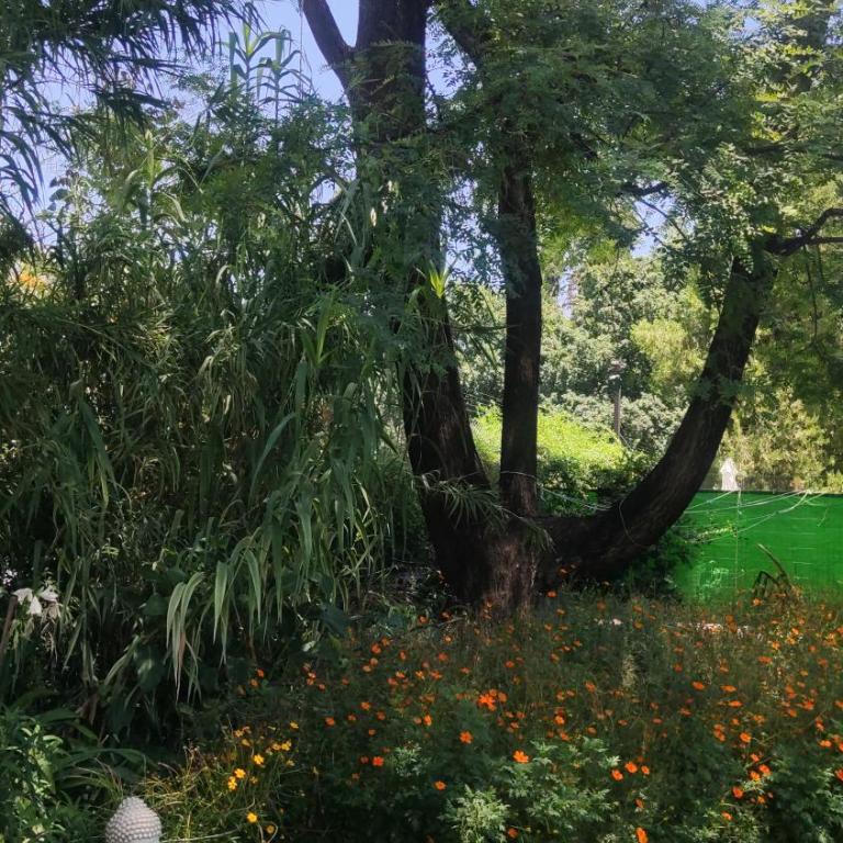 Qui Home - Apartamento con vistas al jardín - 4