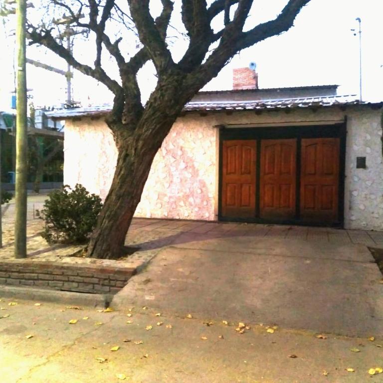 Depto 1 dormitorio - Apartamento de 2 dormitorios - 12