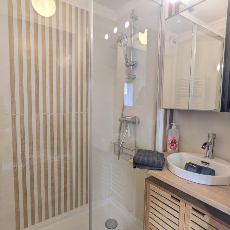 Le Toucan, F2 cosy et balcon ensoleillé - Apartment mit 1 Schlafzimmer - 8