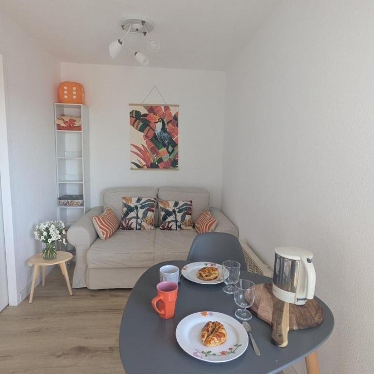 Le Toucan, F2 cosy et balcon ensoleillé - Apartment mit 1 Schlafzimmer - 10