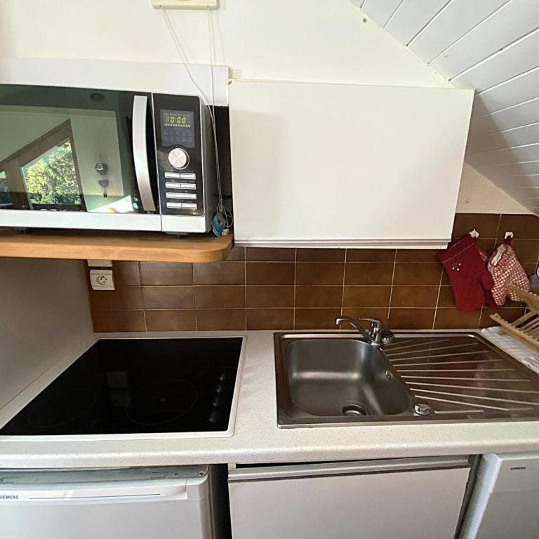 Résidence Les Cytelles - Spacieux 3 personnes à l'altiport MAE-5053 - Apartment - 5