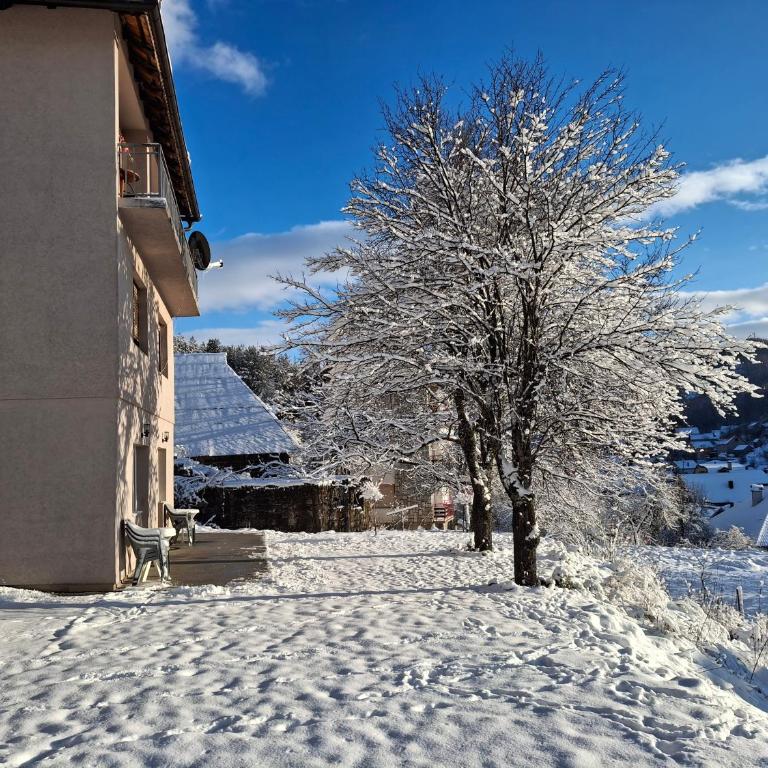 Apartmani Nada - Apartman - 3