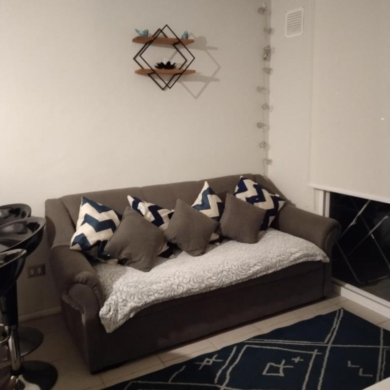 Departamento en Serena céntrico de todo - Two-Bedroom Apartment - 13