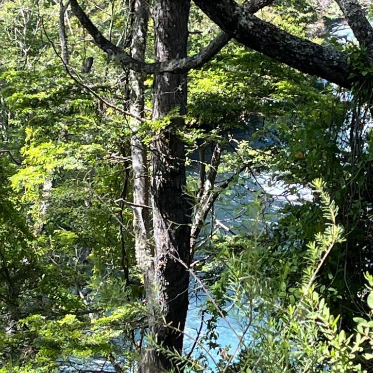 Domo Conguillio, Salto Truful Truful - One-Bedroom Chalet - 13