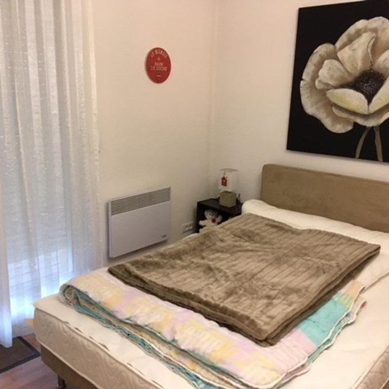 Coquet appartement 4 personnes, 2 chambres face aux pistes de La Mongie - Apartment mit 1 Schlafzimmer - 11