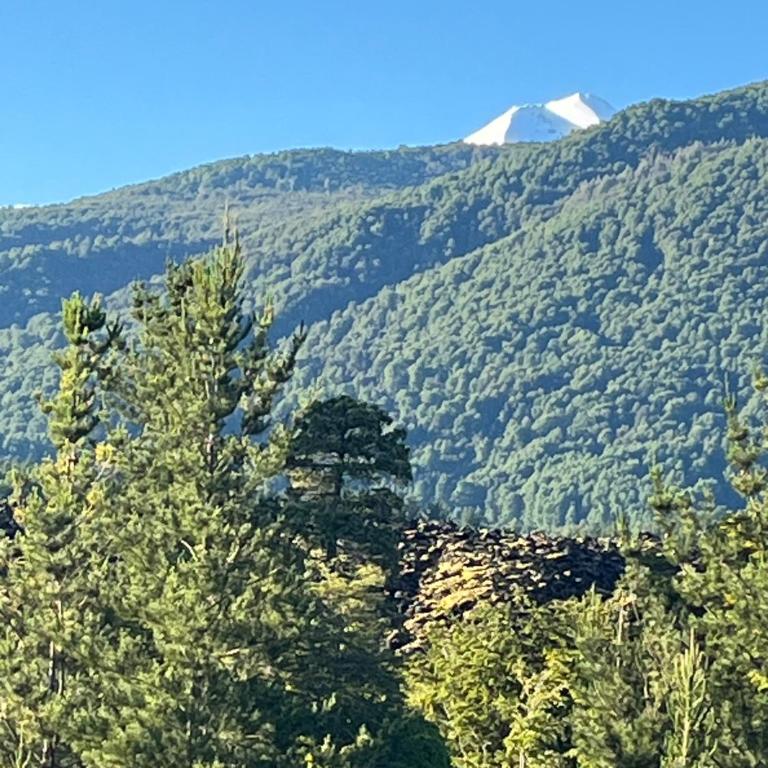 Domo Conguillio, Salto Truful Truful - One-Bedroom Chalet - 3