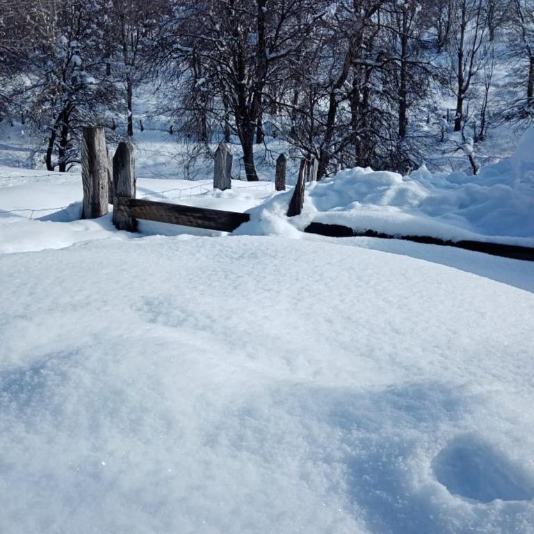 Rakin Guillio - Three-Bedroom Apartment - 5