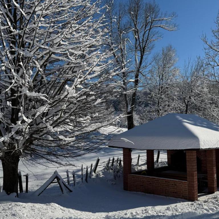 Vikendica Brvnara Marčetić - Vikendica - 6