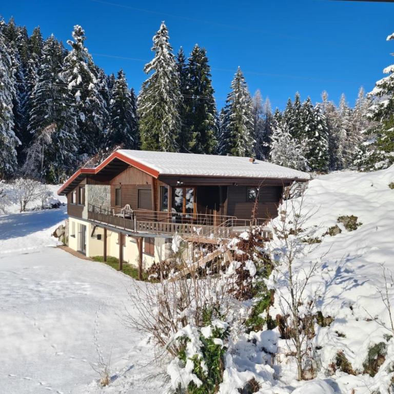 Chalet de la Mexel Gerardmer - Chalet 3 Chambres - 1