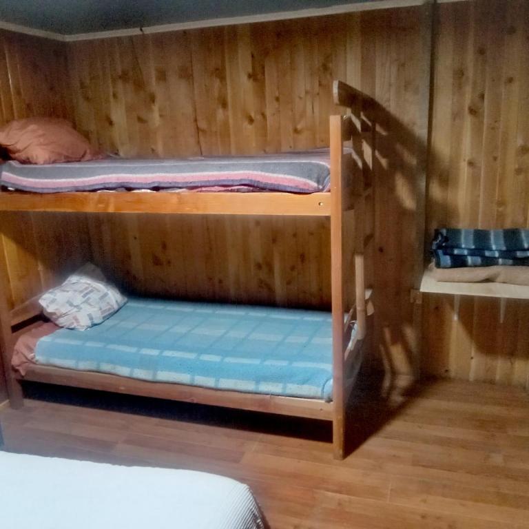 Cabañas Aylanis Coñaripe - One-Bedroom Apartment - 8