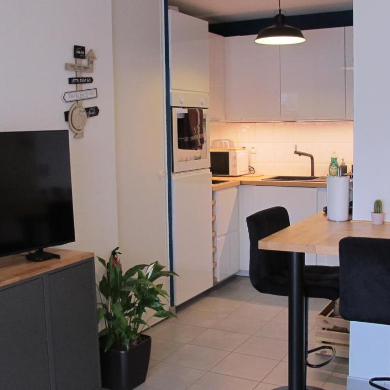 L'Escale de l'Aéropostale - Apartment with Balcony - 8