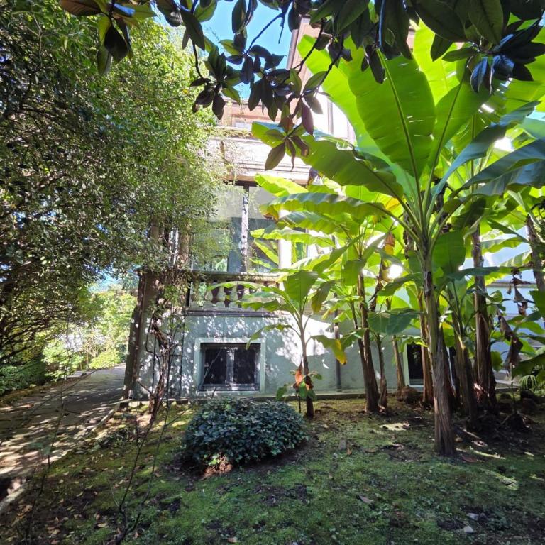 Villa Cedro - Villa con Vista Giardino - 39