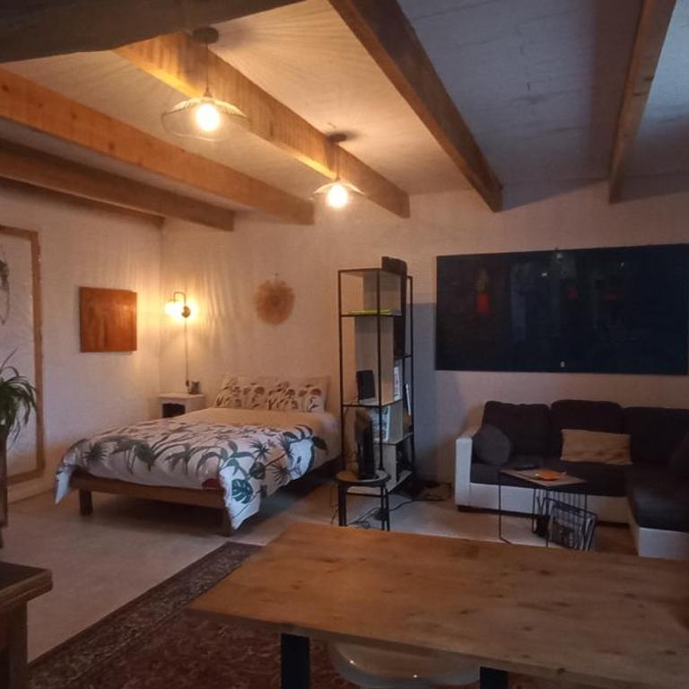 Les Jasmins - Appartement 1 Chambre - 2