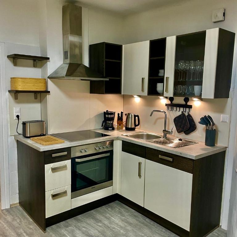 PHENIX Alpin Apartment Kreischberg - Appartement 2 Chambres - 10