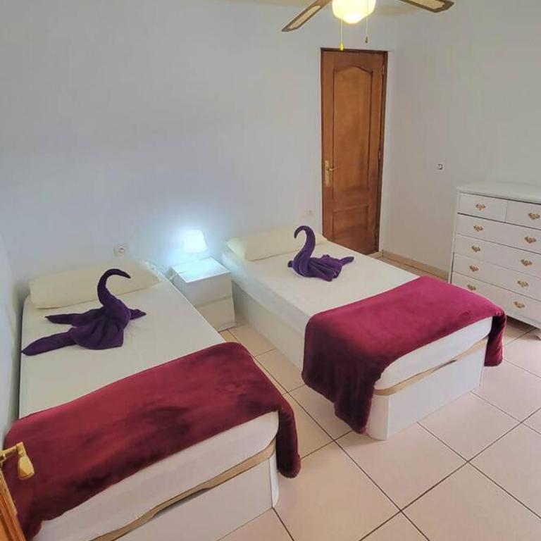 Apartamento con piscina en Aldea Blanca - Casa de 3 dormitorios - 8