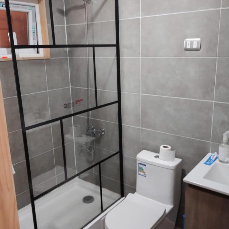 Parcela Llanquihue - One-Bedroom House - 9