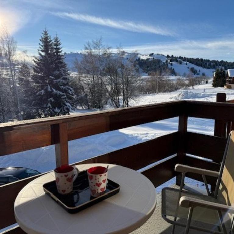 Studio cabine 4 pers aux Saisies, proche commerces - Appartement 1 Chambre - 11