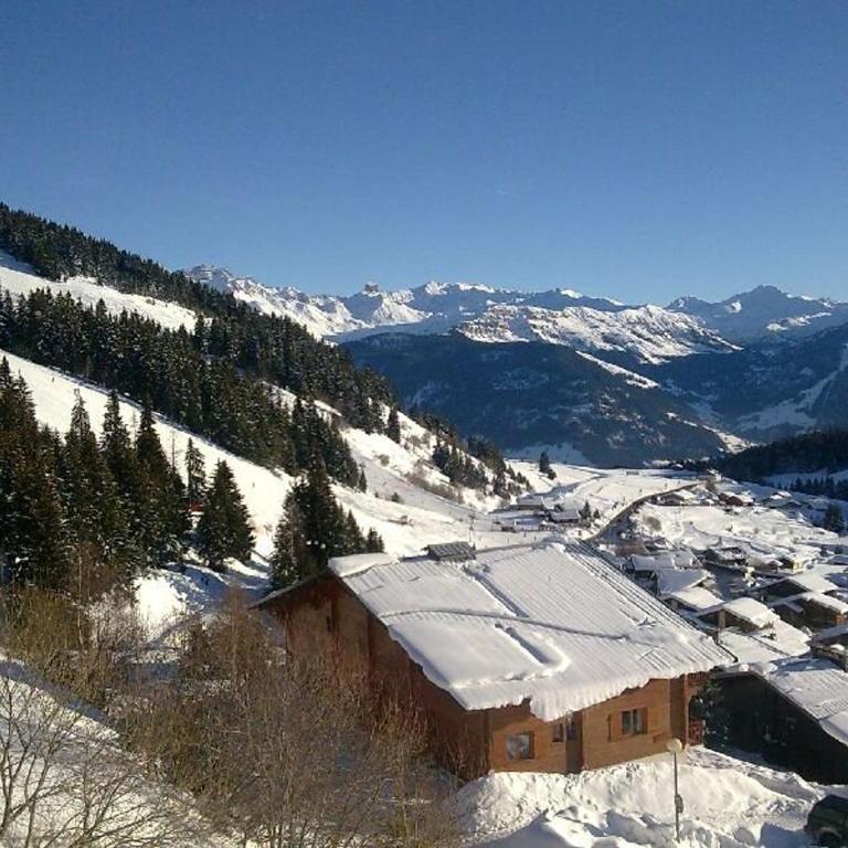 Appartement 2 pièces Les Saisies, haut de la station, 6 personnes, balcon. - Apartment mit 1 Schlafzimmer - 15