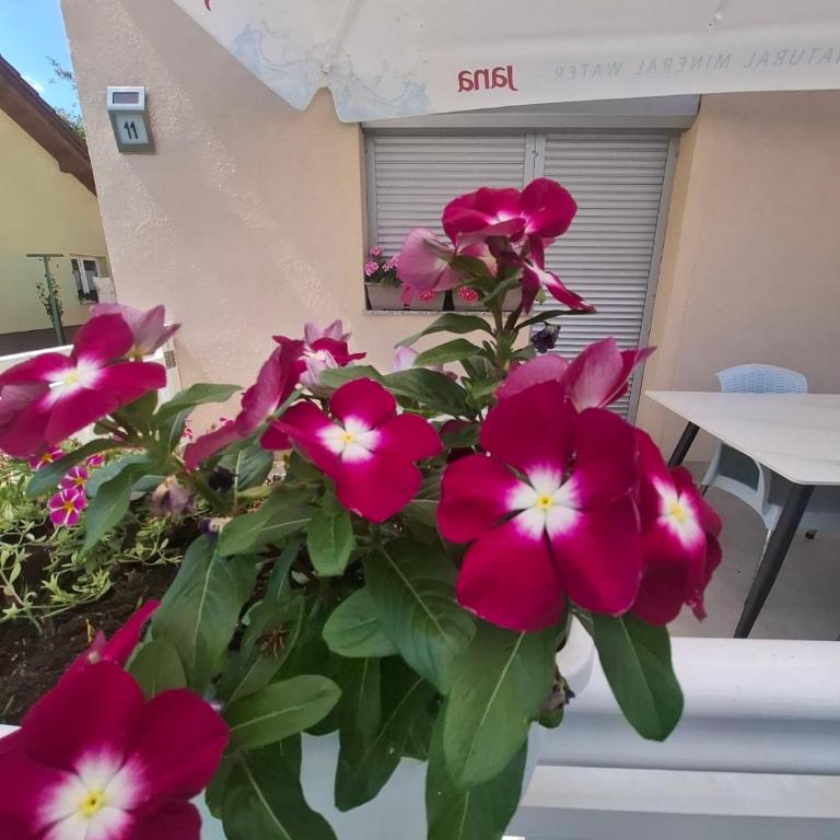 Apartman - TAHRIC - Three-Bedroom Apartment - 11
