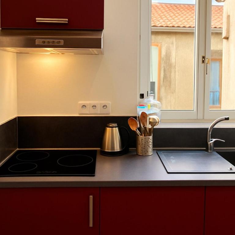 Cozy equipped studio and parking - city center - Appartement 1 Chambre - 11