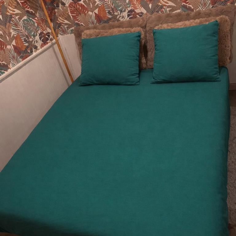 Cozy equipped studio and parking - city center - Appartement 1 Chambre - 13