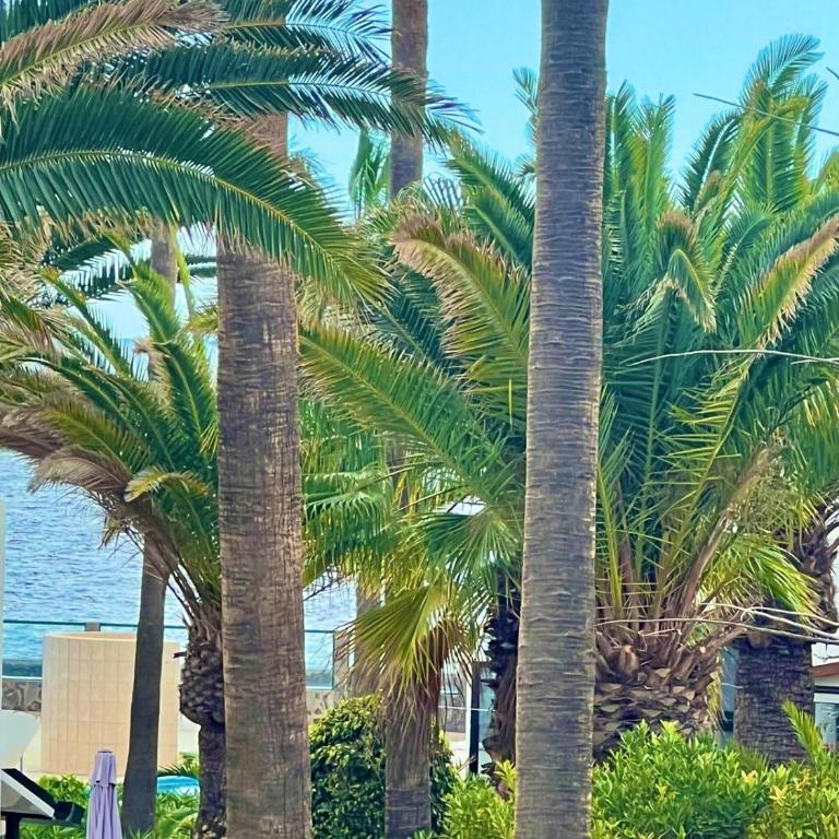 Apartamento vista parcial mar en Tenerife Sur - Apartamento de 1 dormitorio - 11