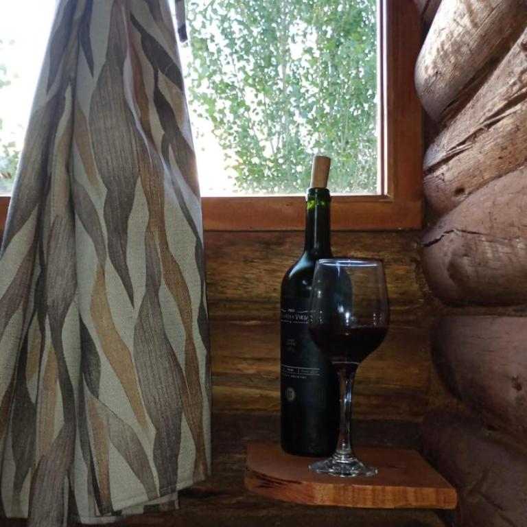 Cabañas Angualasto - Estudio con vistas a las montañas - 12