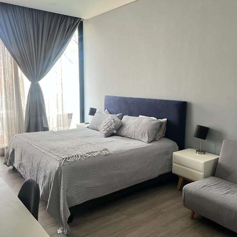 Suite en Ciudad de México céntrico - One-Bedroom Apartment - 1