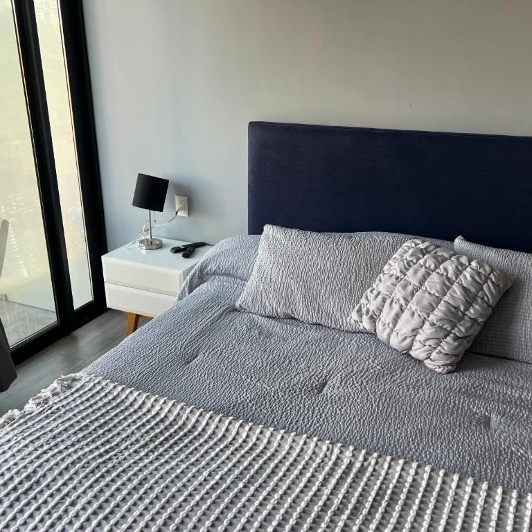 Suite en Ciudad de México céntrico - One-Bedroom Apartment - 24