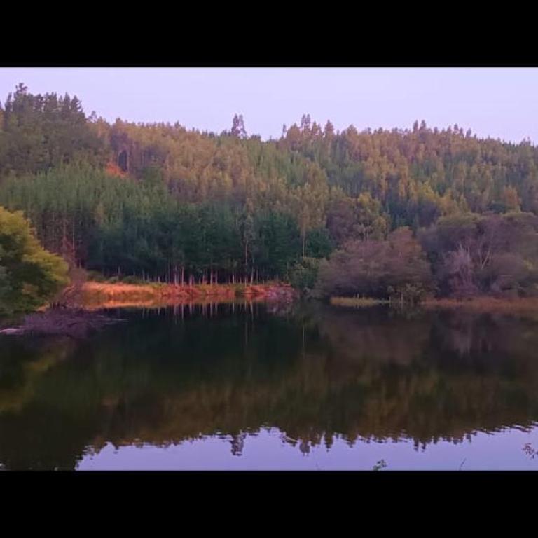 Cabañas Río Sur - One-Bedroom House - 1