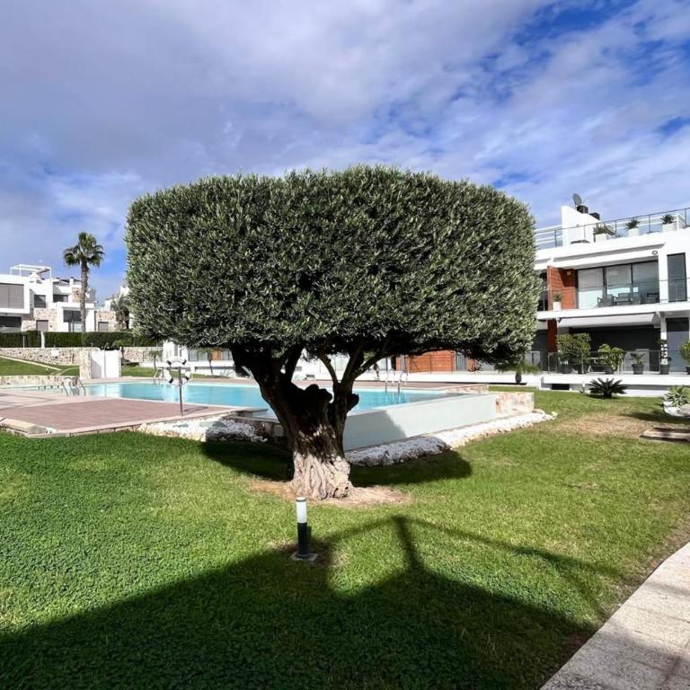 Nuevo apartamento con terraza y piscina próximo a las playas - Apartamento - 58