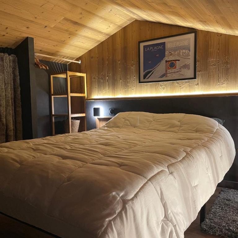 L ADRET - Duplex 6 pers 2 chambres - Belle Plagne PARADISKI - Appartement en Duplex - 7
