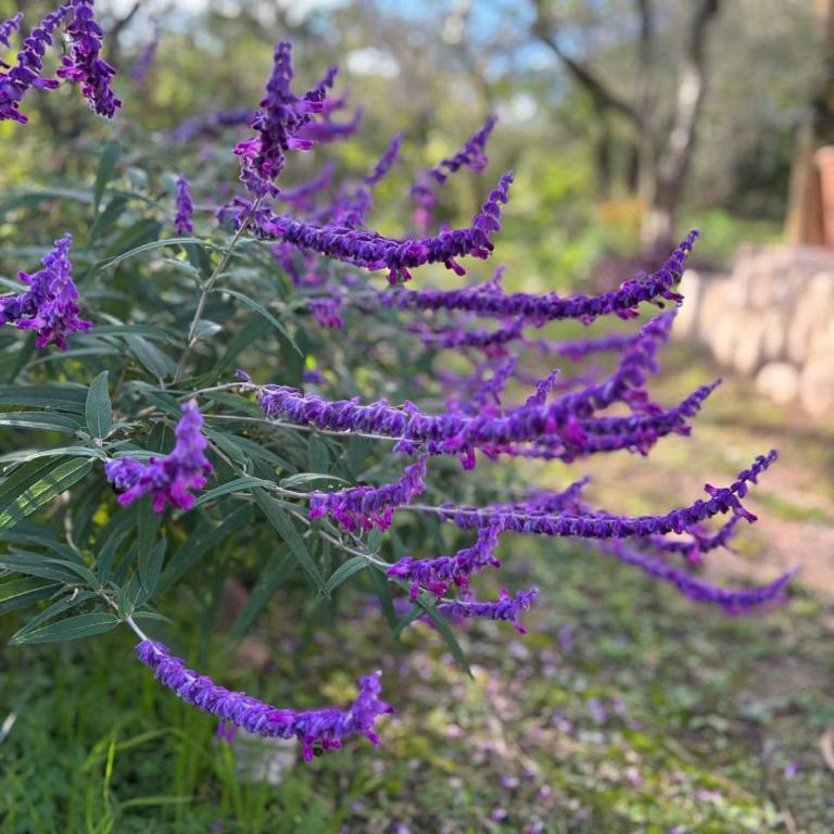 Chañar - Apartamento de 1 dormitorio - 7