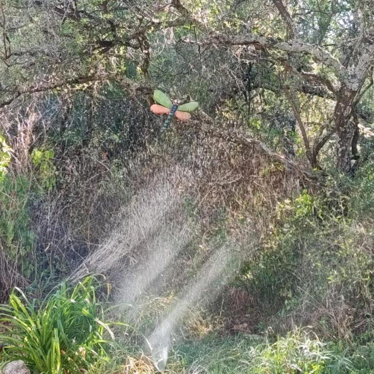 Chañar - Apartamento de 1 dormitorio - 9