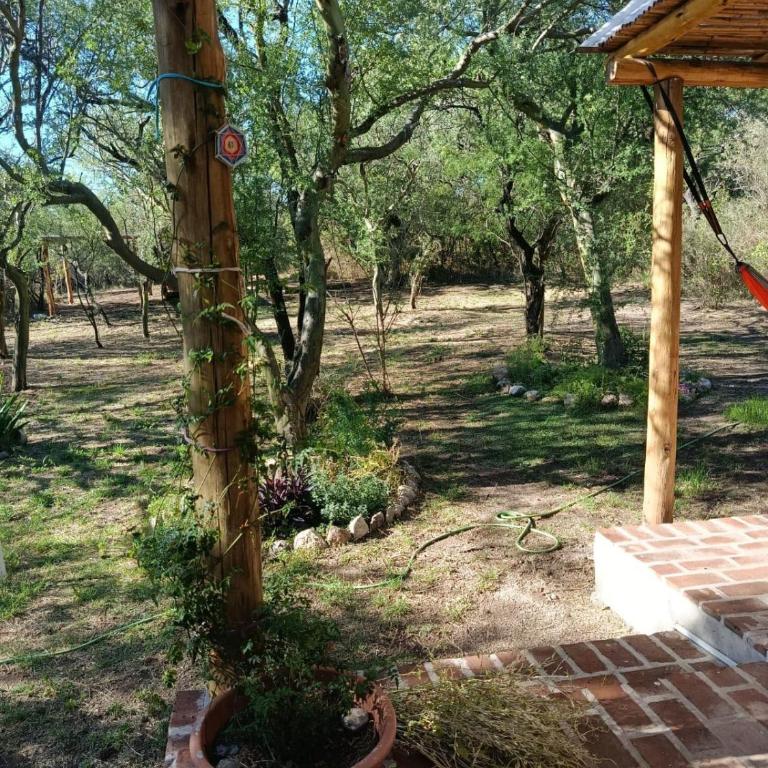 Chañar - Apartamento de 1 dormitorio - 18