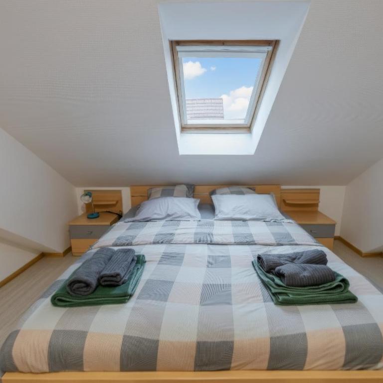 Appartement cosy au cœur de Colmar - Appartamento con 1 Camera da Letto - 1